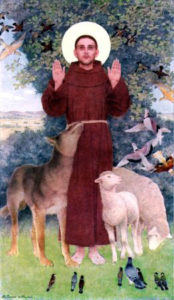 stfrancis