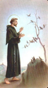 Saint Francis